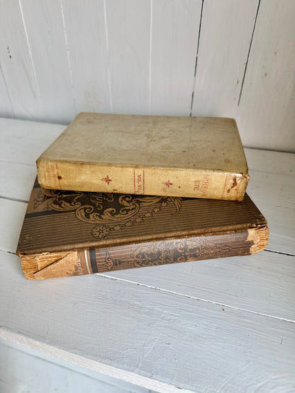 Set of 2 Vtg. Neutral Books