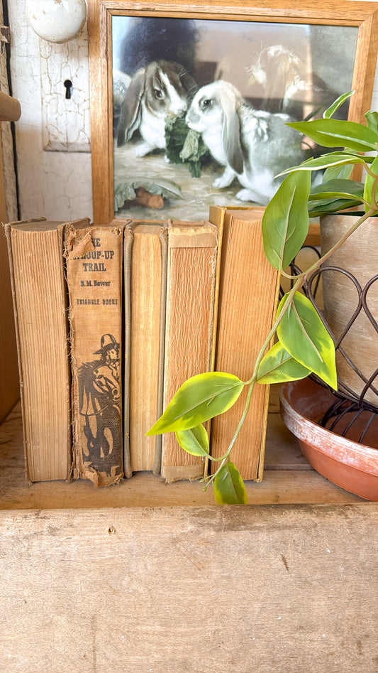 Neutral Books