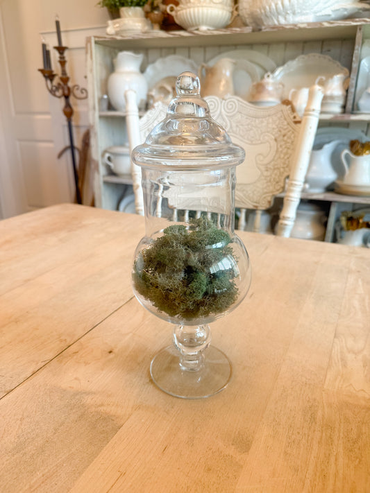 12” Tall Glass Apothecary