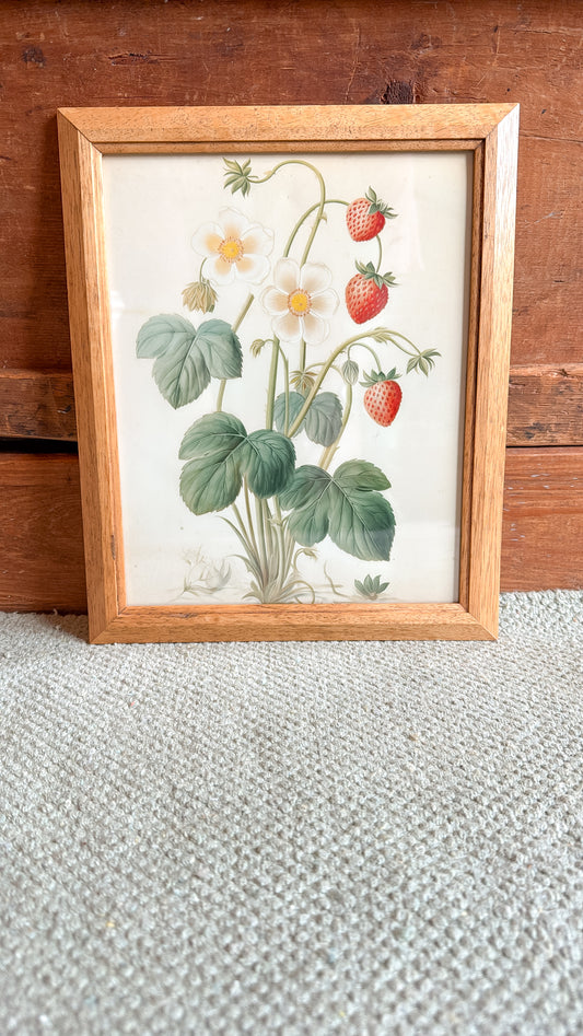Wild Strawberry Print