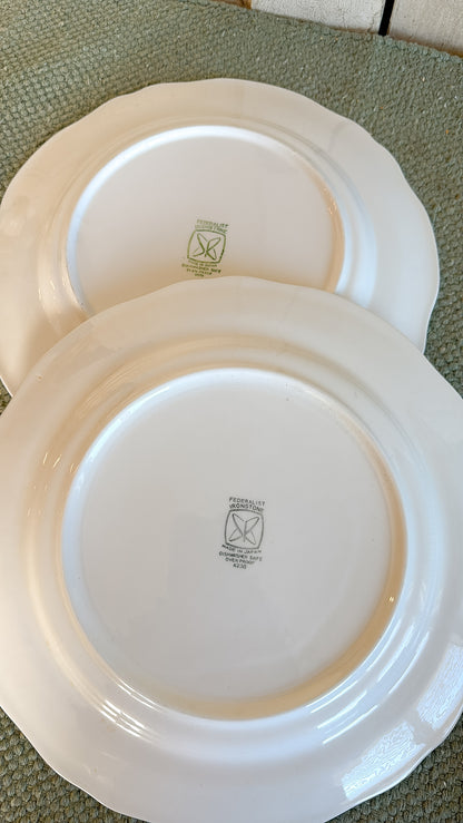 Set of 2 Ironstone Plates