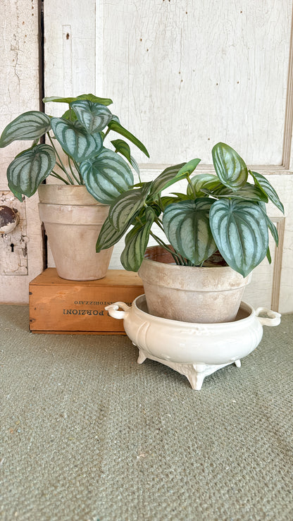 Ornate Footed Tureen