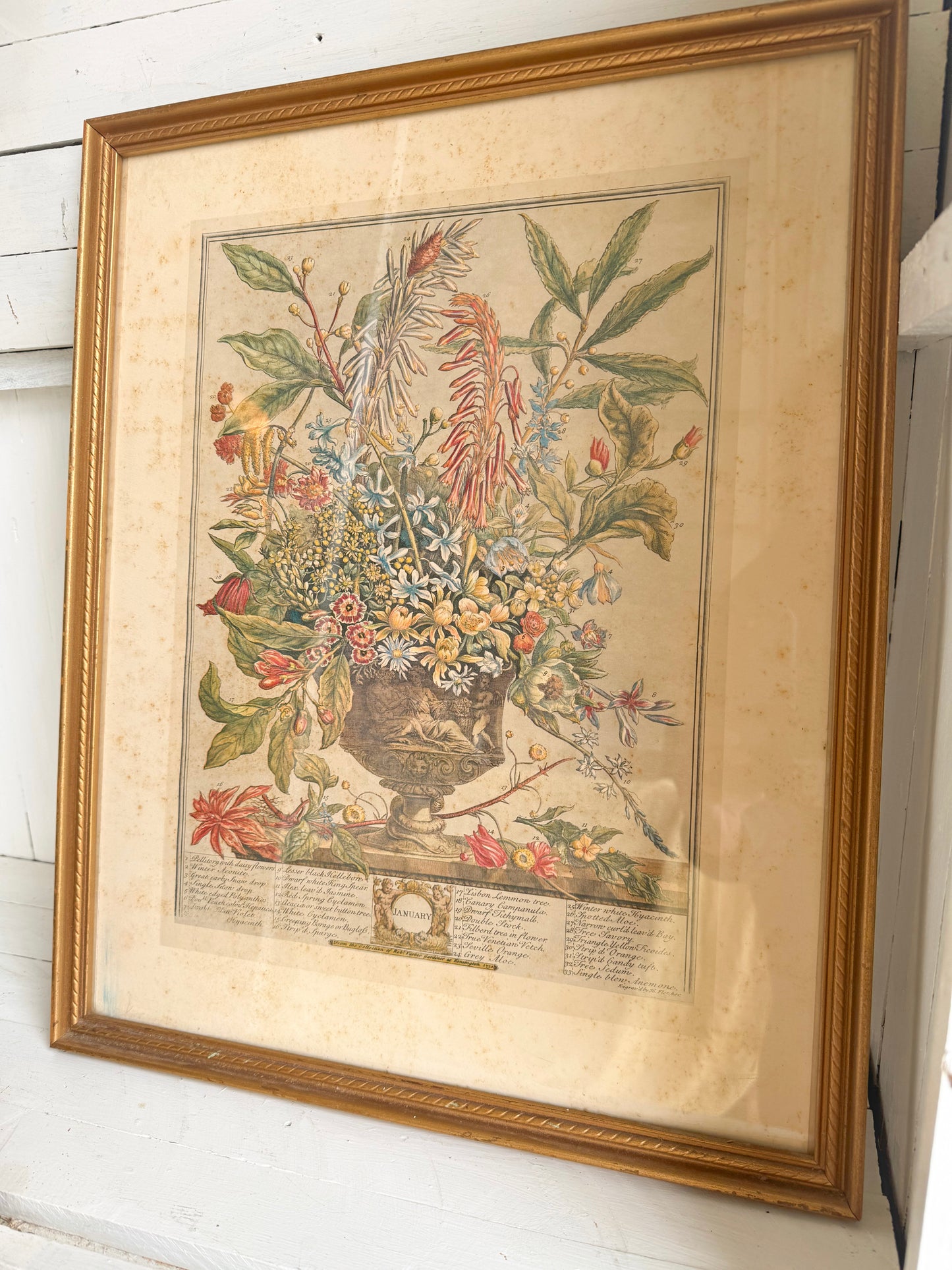 Vintage ‘January’ Frames Floral Print