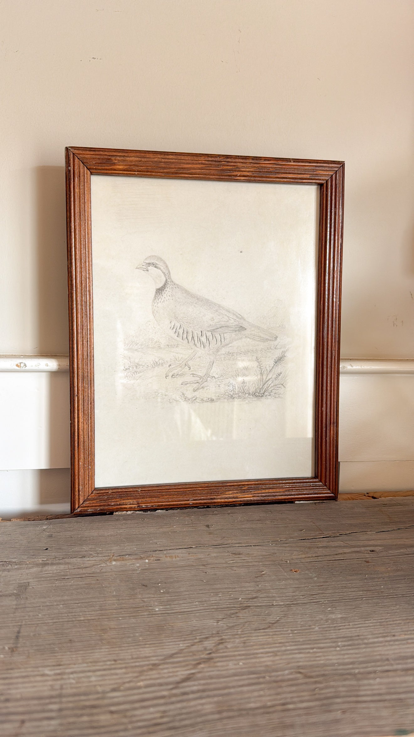 8x10 Quail Print