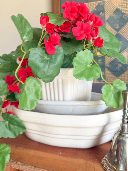 13” Long Pottery Plant/Bowl