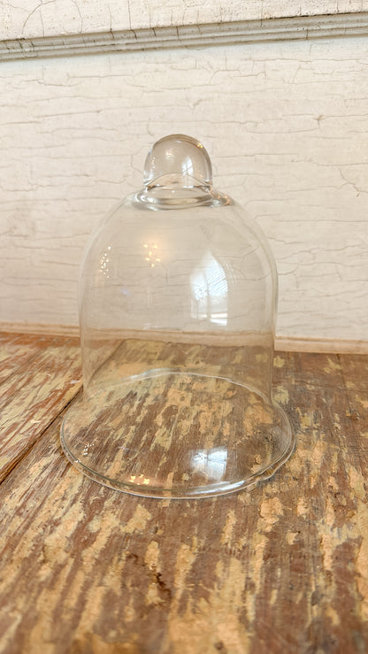 Glass Cloche