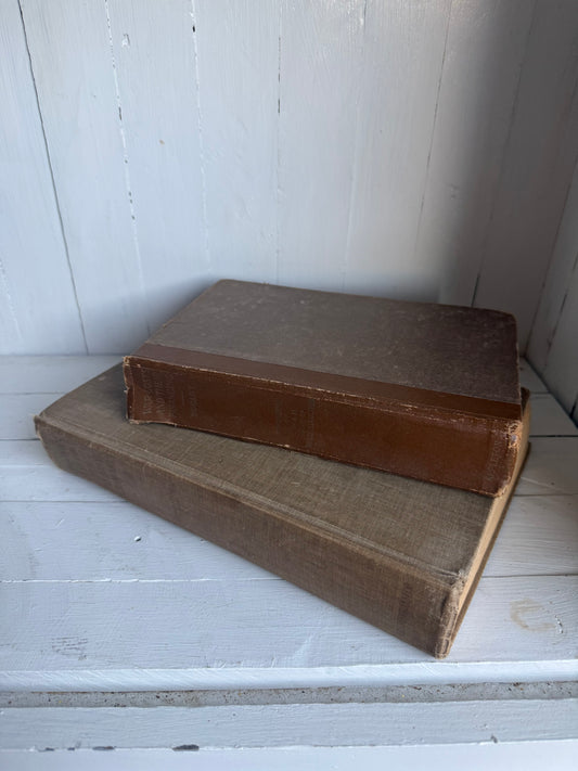 Set of 2 Neutral Old Books