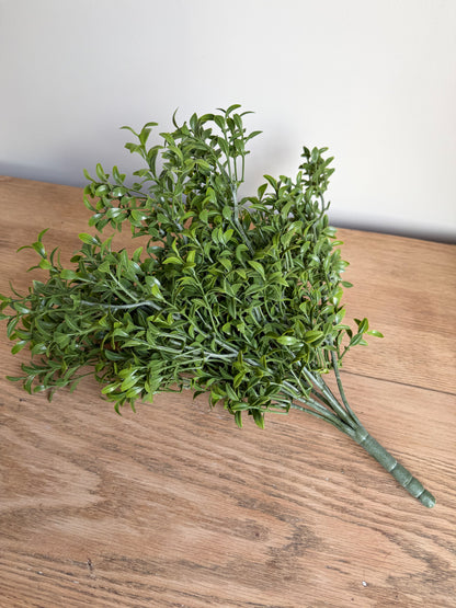 Boxwood Bush Stem