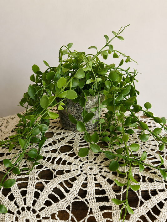 Potted String of Nickels Greenery