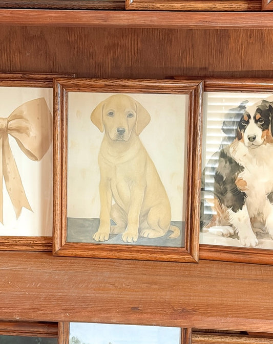 Yellow Lab Pup