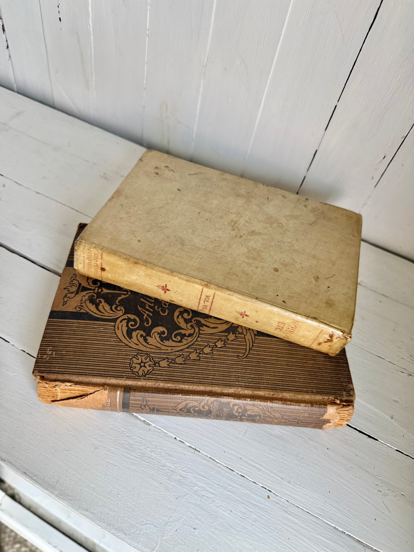 Set of 2 Vtg. Neutral Books