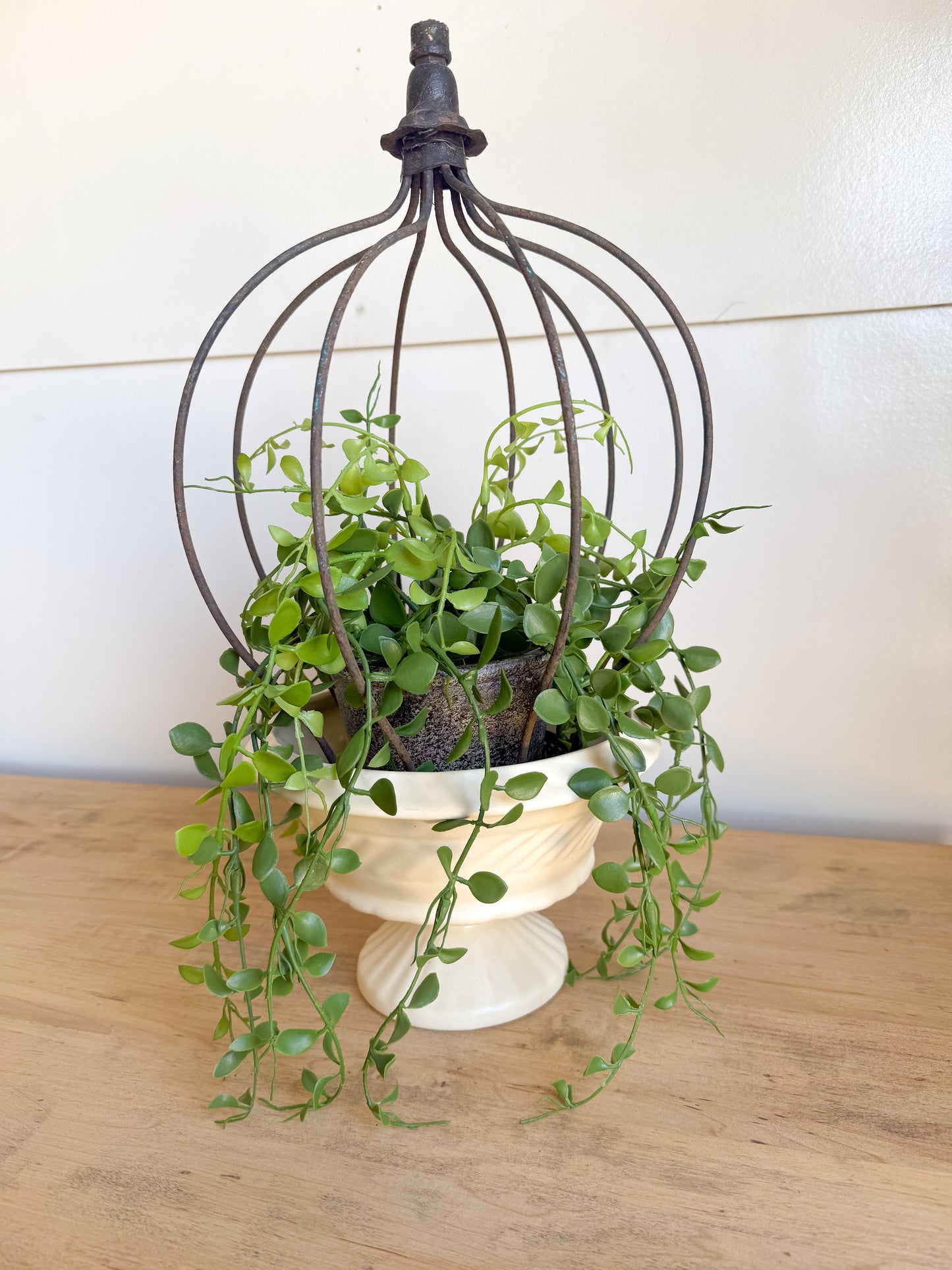 15” Tall Crown Shaped Topiary Cloche