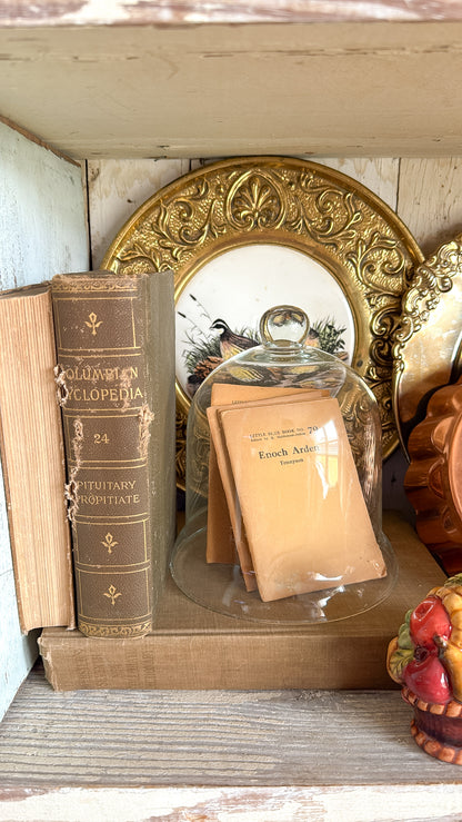 Little Blue Book #335