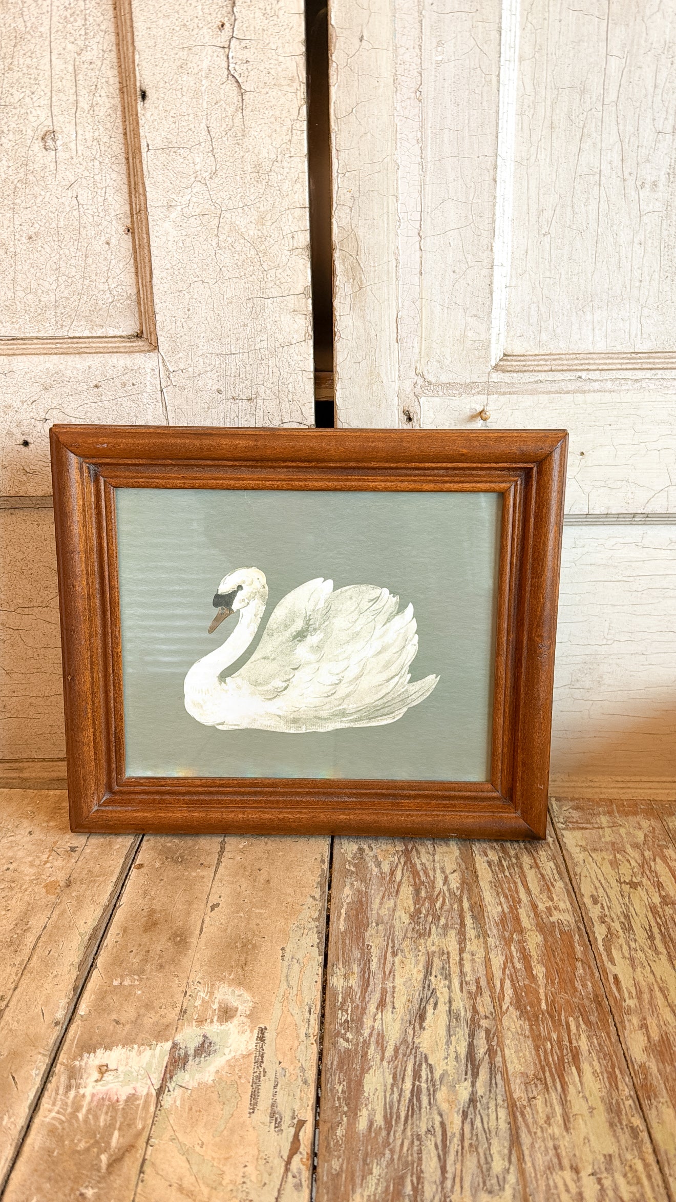 Swan with Sage Print