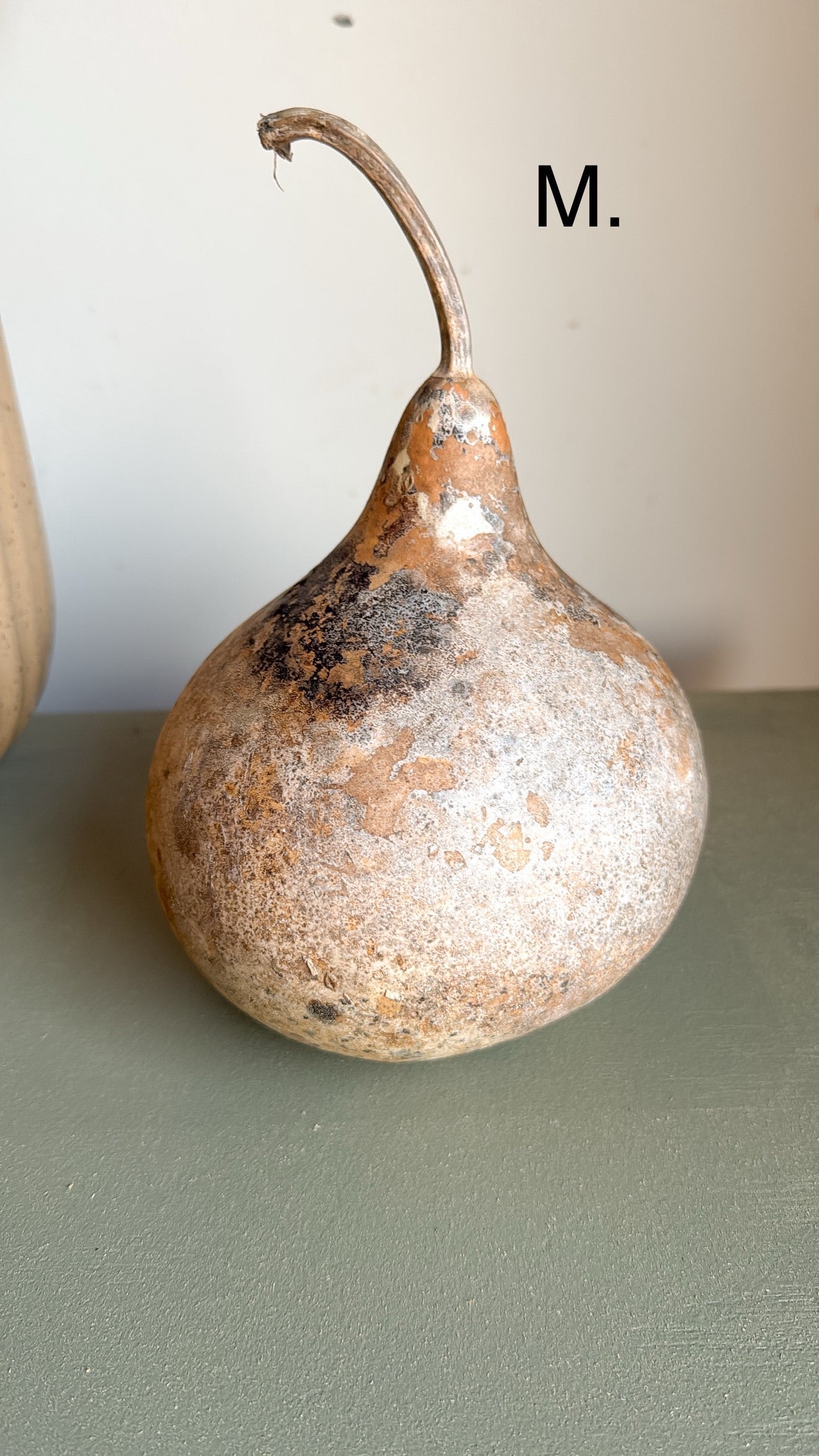 7” Tall Dried Gourd