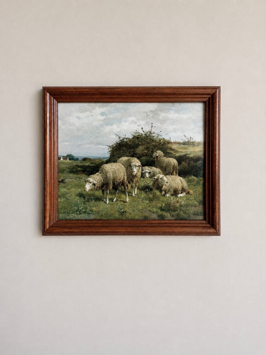 Herd of Sheep Print