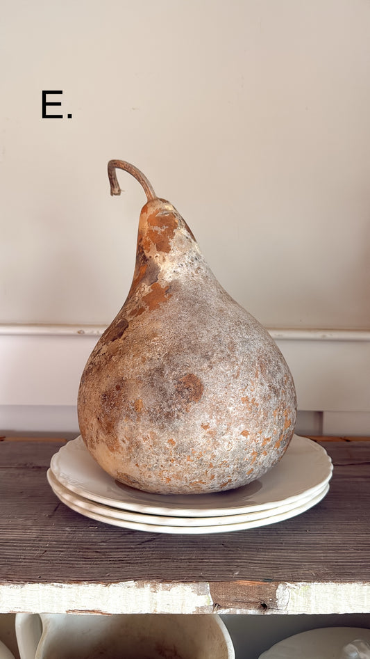 10” Dried Gourd