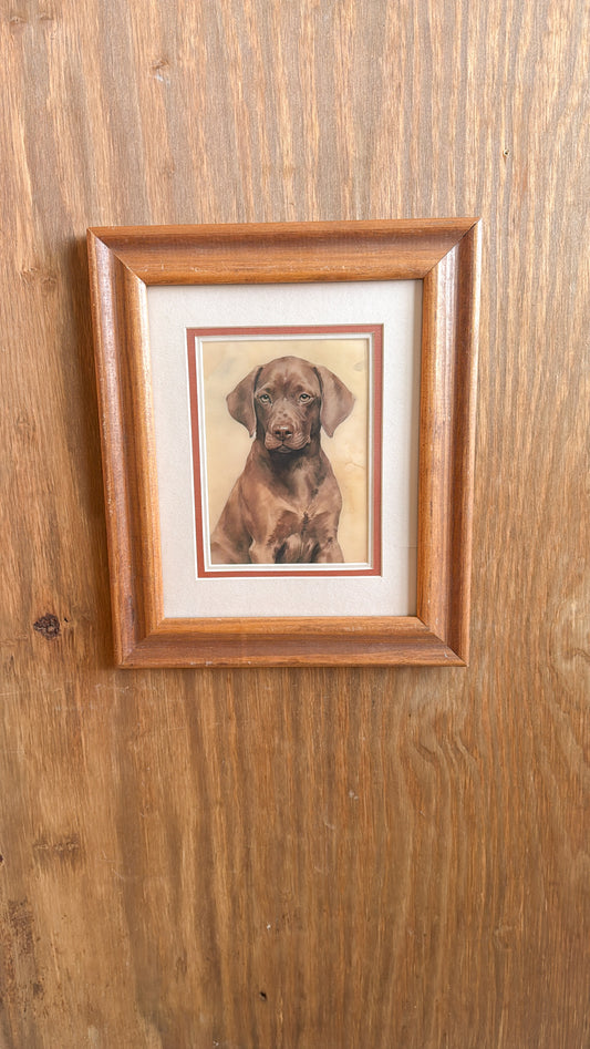 Chocolate Lap Pup Matted Print