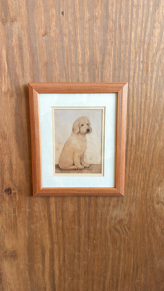 Golden-doodle Matted Print