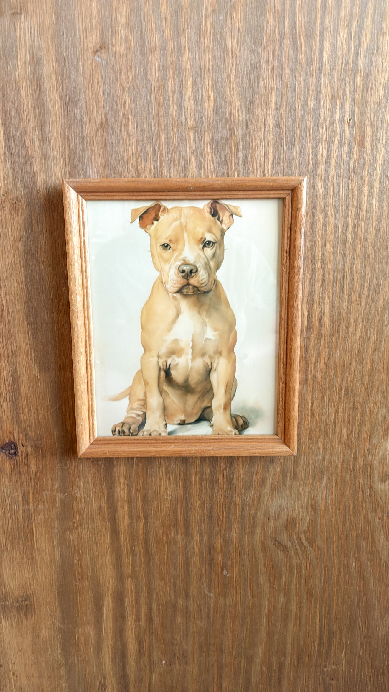 Vintage Pitbull Print