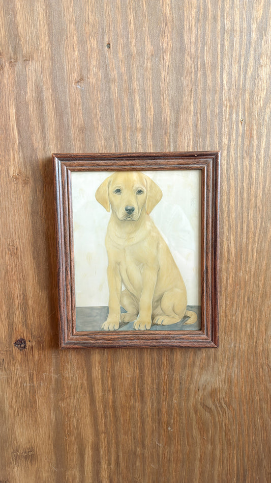 Yellow Lab Pup Print