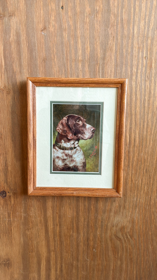 Pointer Matted Print