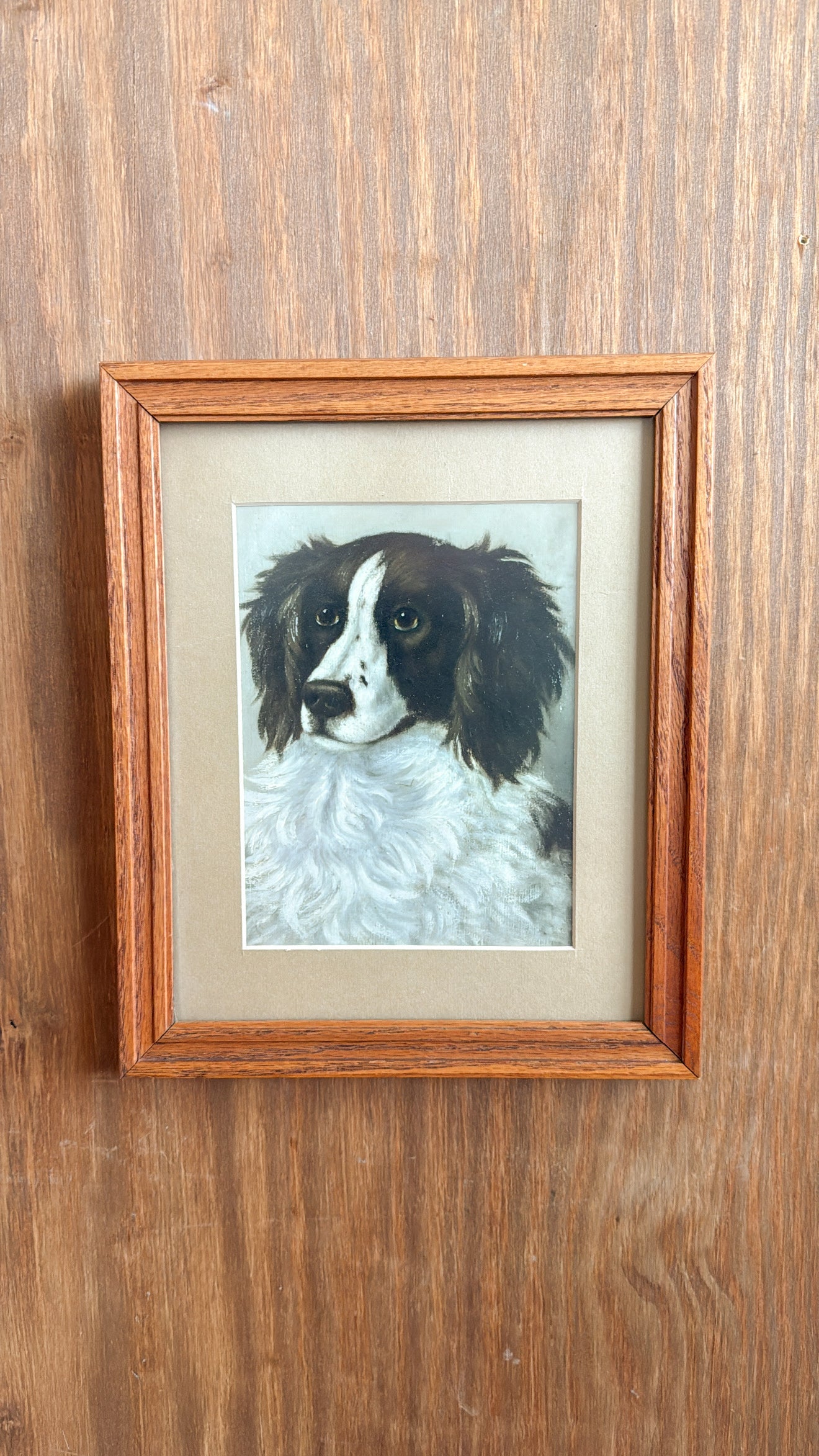 Vintage Dog Matted Print