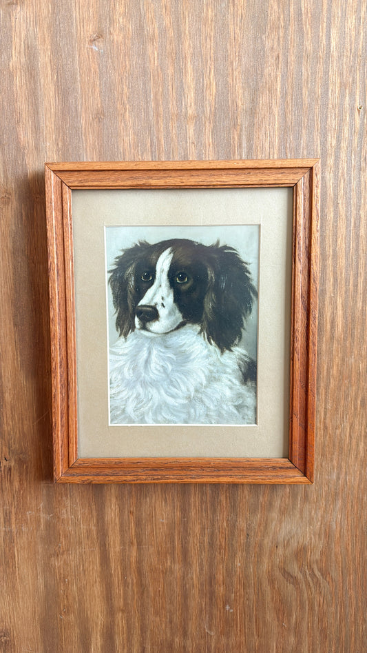 Vintage Dog Matted Print