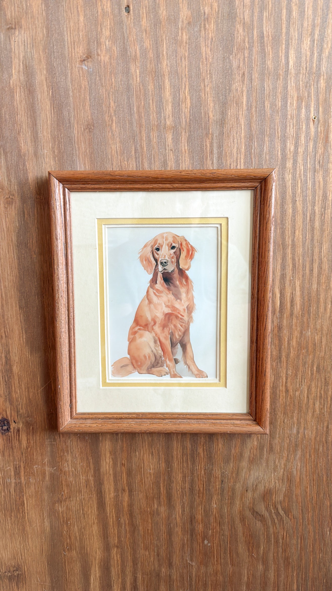 Red Retriever Matted Print