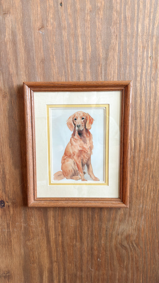 Red Retriever Matted Print