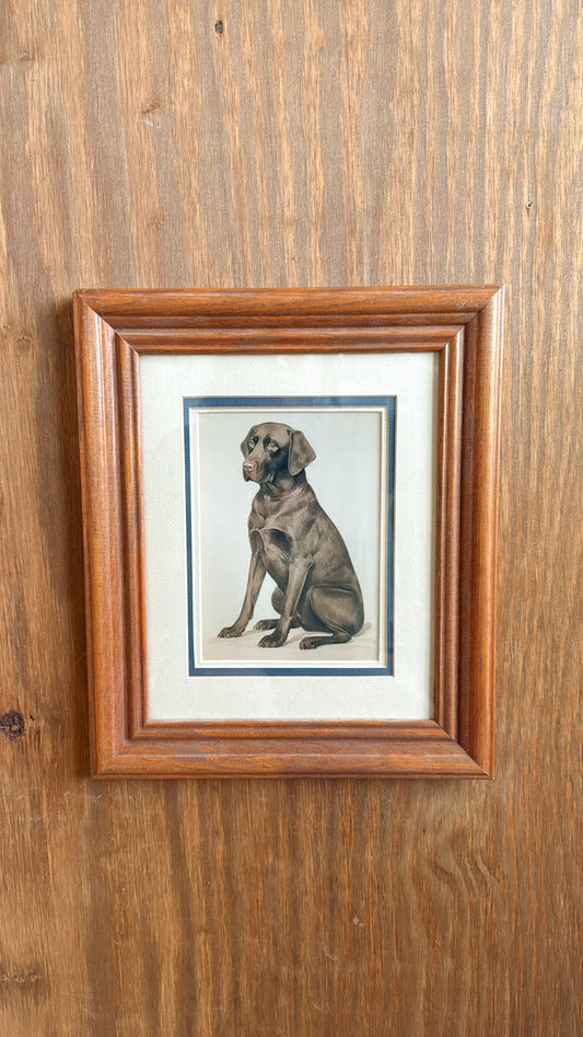 Chocolate Lab Matted Print