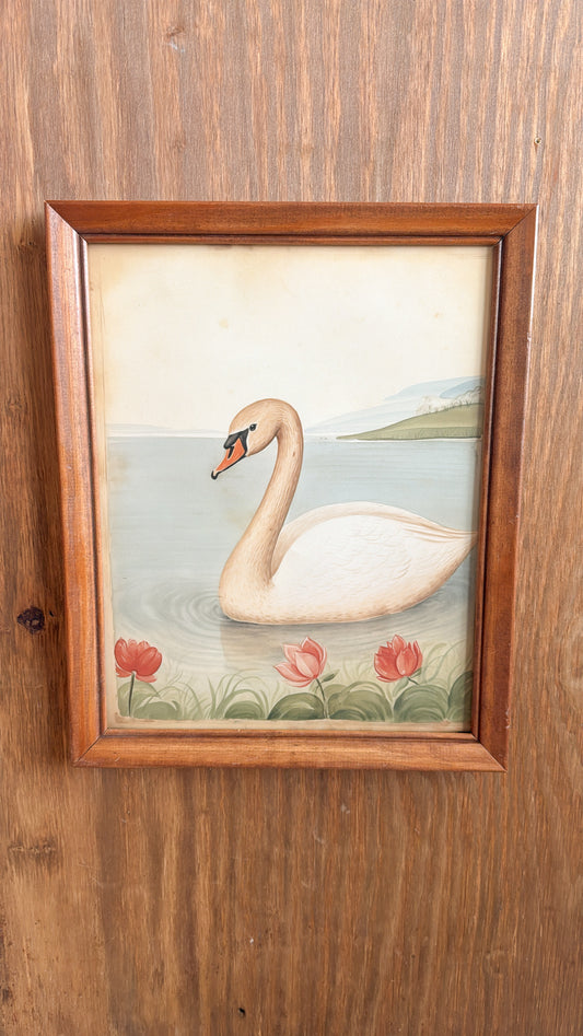 11x14 Vintage Swimming Swan