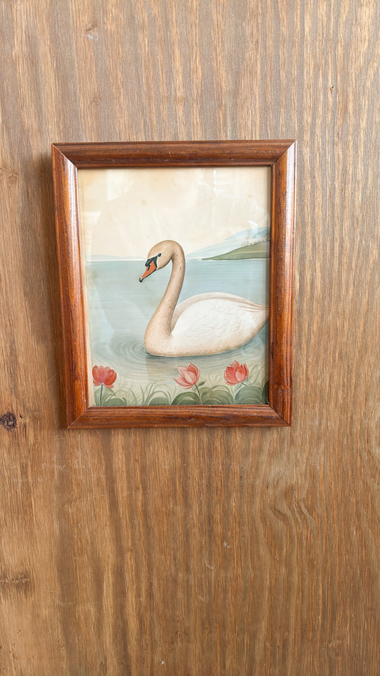 8x10 Vintage Swimming Swan