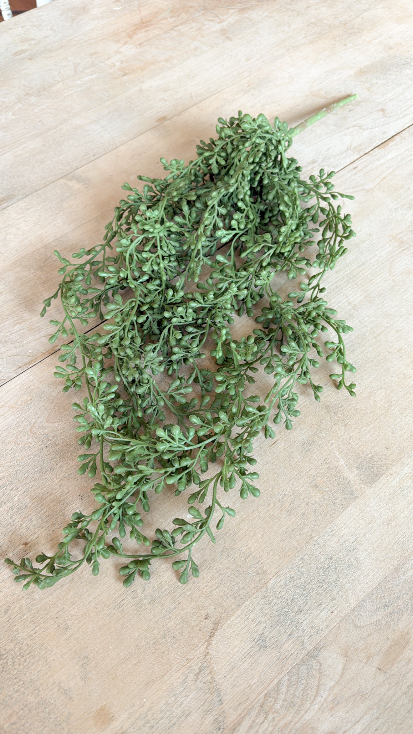 String of Pearls Greenery