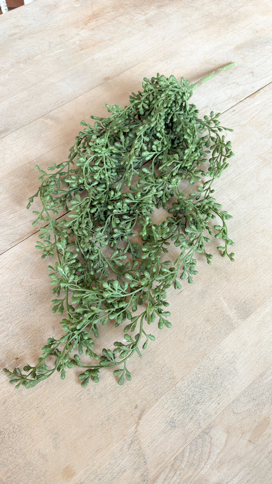 String of Pearls Greenery