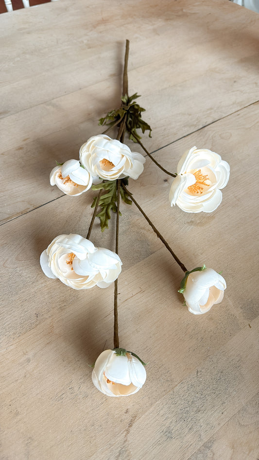 Cream Ranunculus