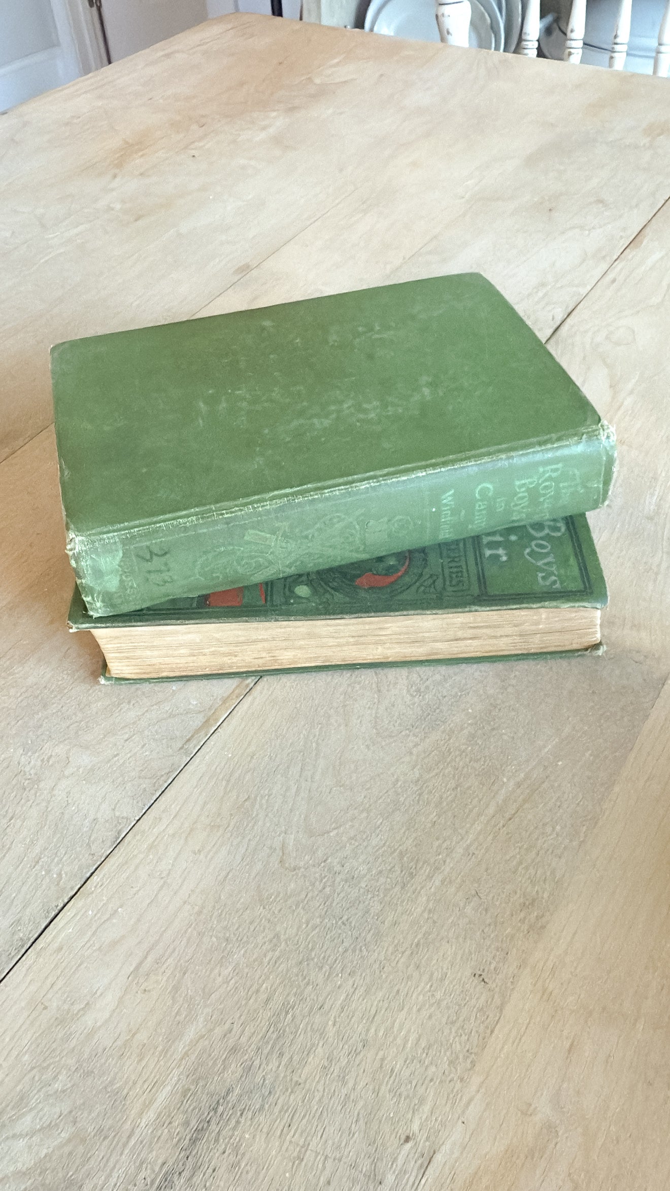Set of 2 Vtg Green Old Books