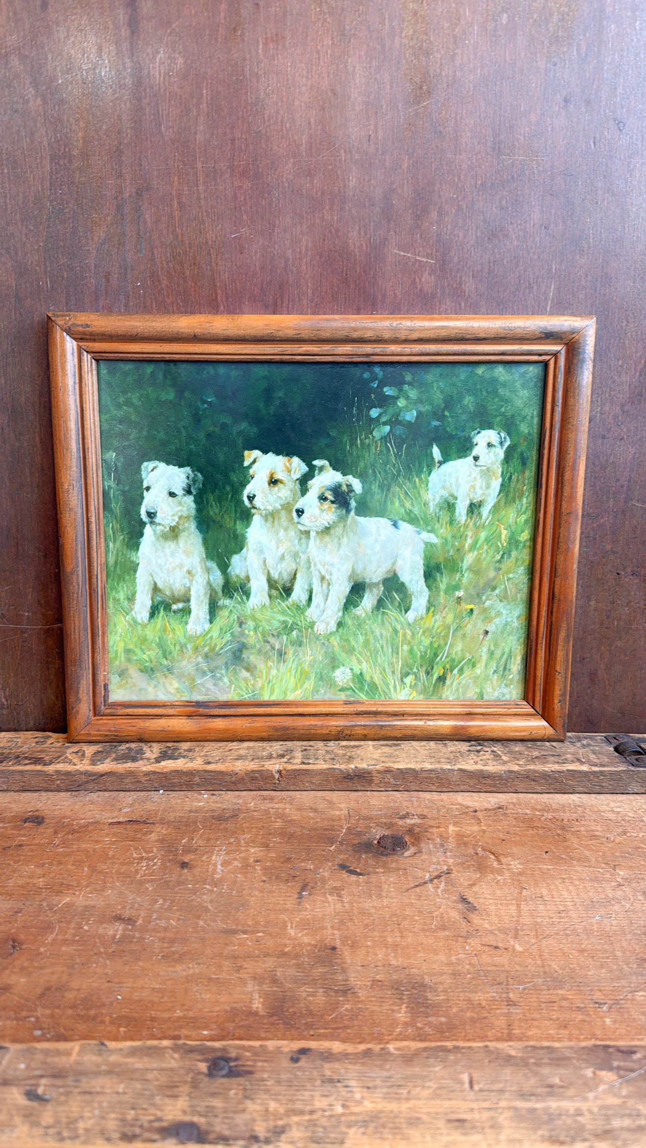 Four Pups Print