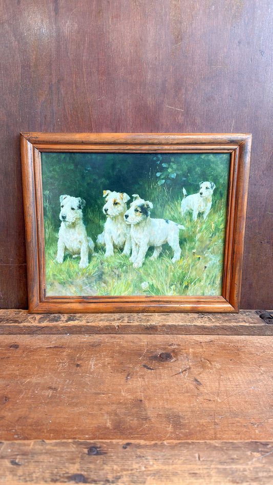 Four Pups Print