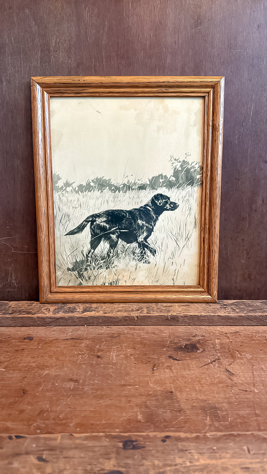 Black Lab Print