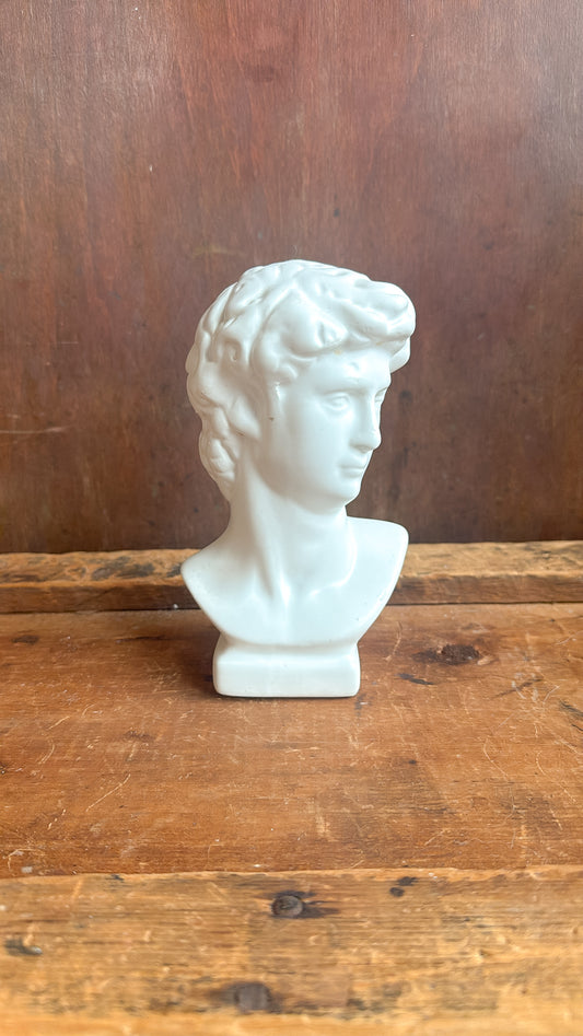 Michelangelo's David Bust