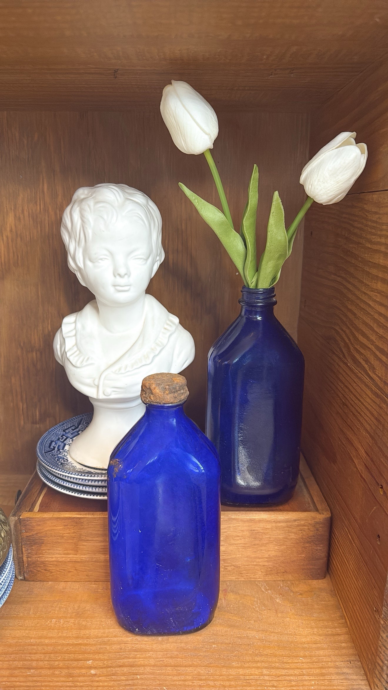 Boy Bust