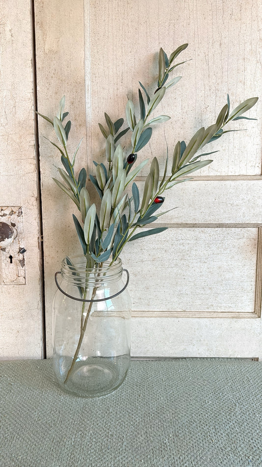 Olive Stems