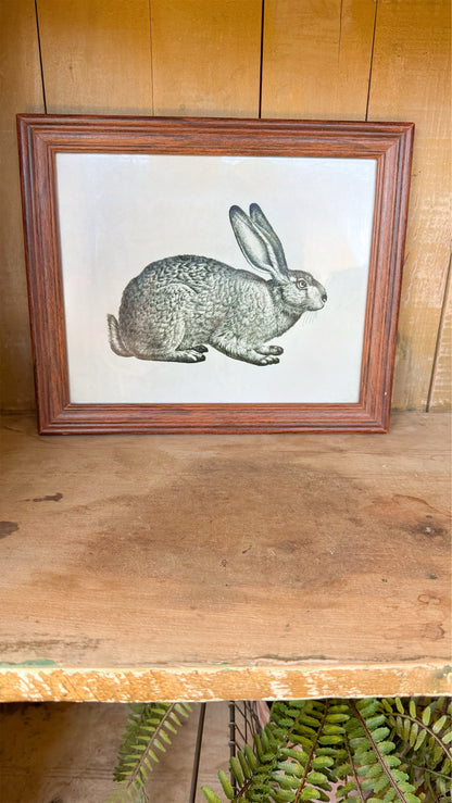 Bunny Print