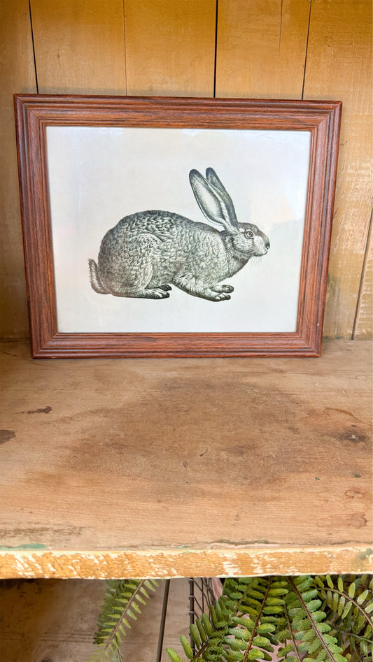 Bunny Print