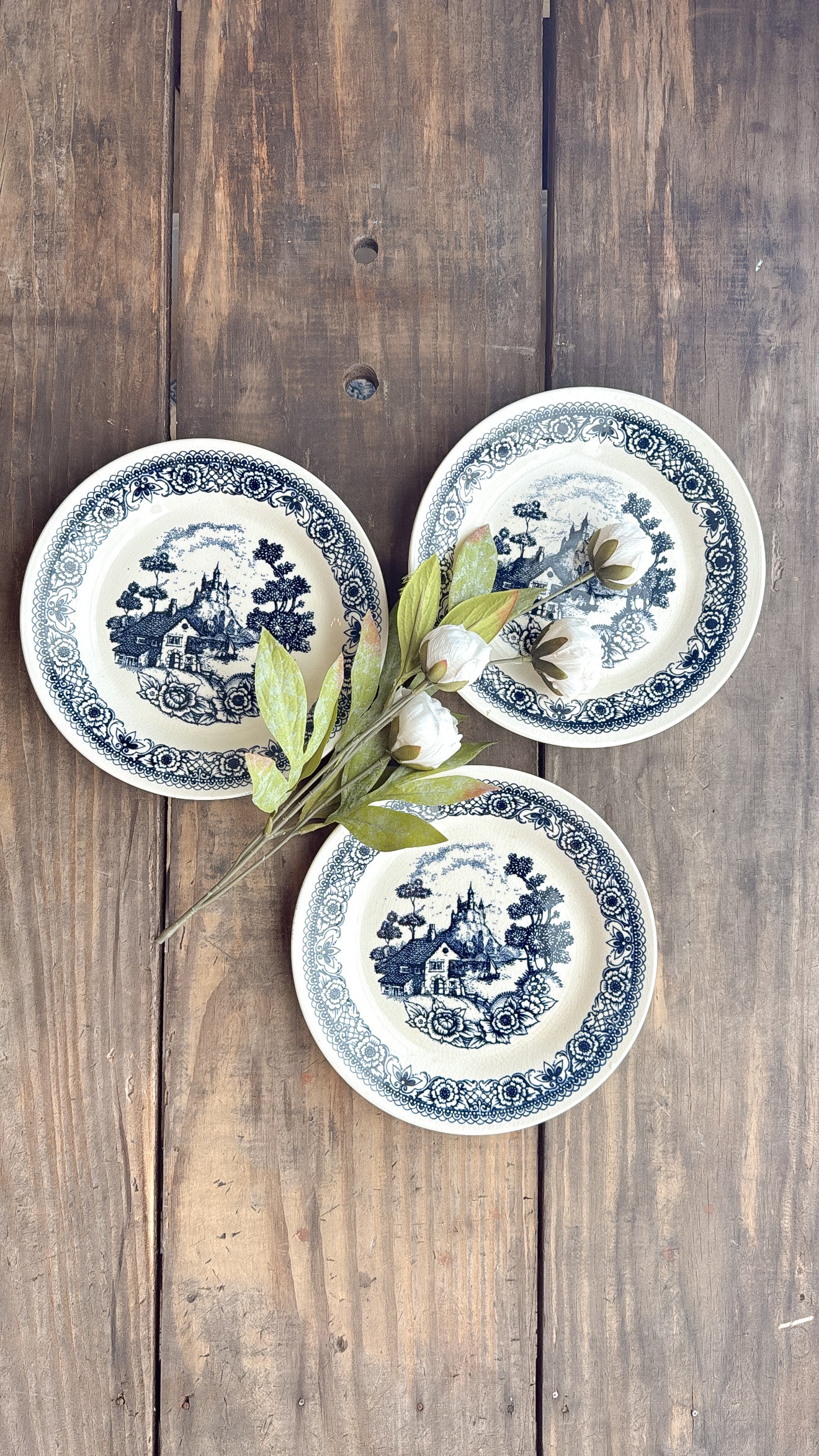 Vintage Blue Transferware Plates